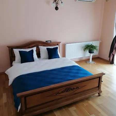 Villa Vila Pop's Cluj-Napoca