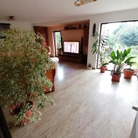 Vila Pop's Villa