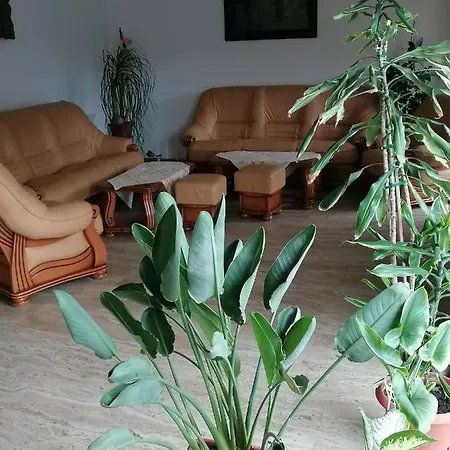 Villa Vila Pop's